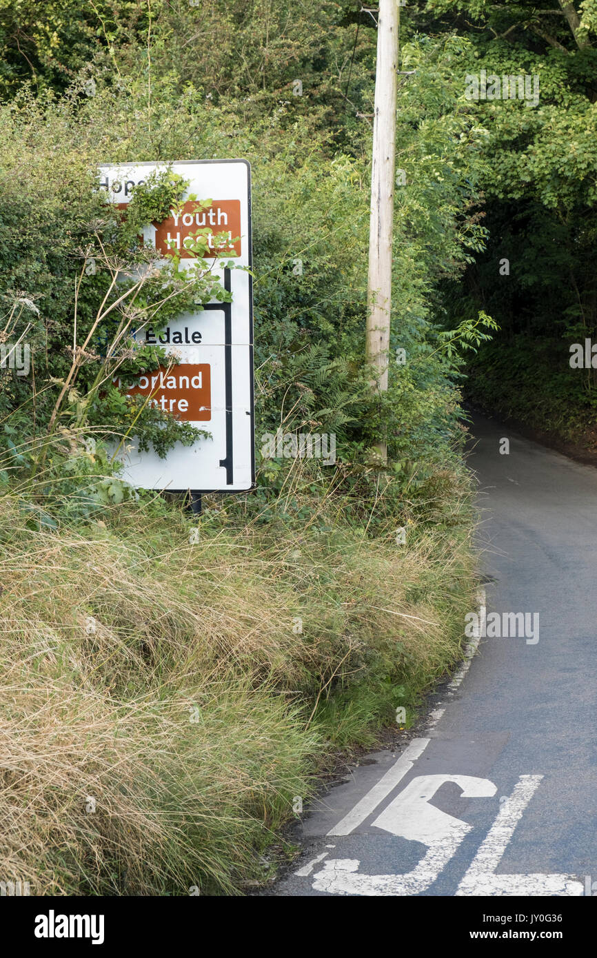Oscurate cartello stradale, visibilità bloccato da una siepe sovradimensionate o albero su una strada rurale vicino a Edale, Derbyshire, England, Regno Unito Foto Stock