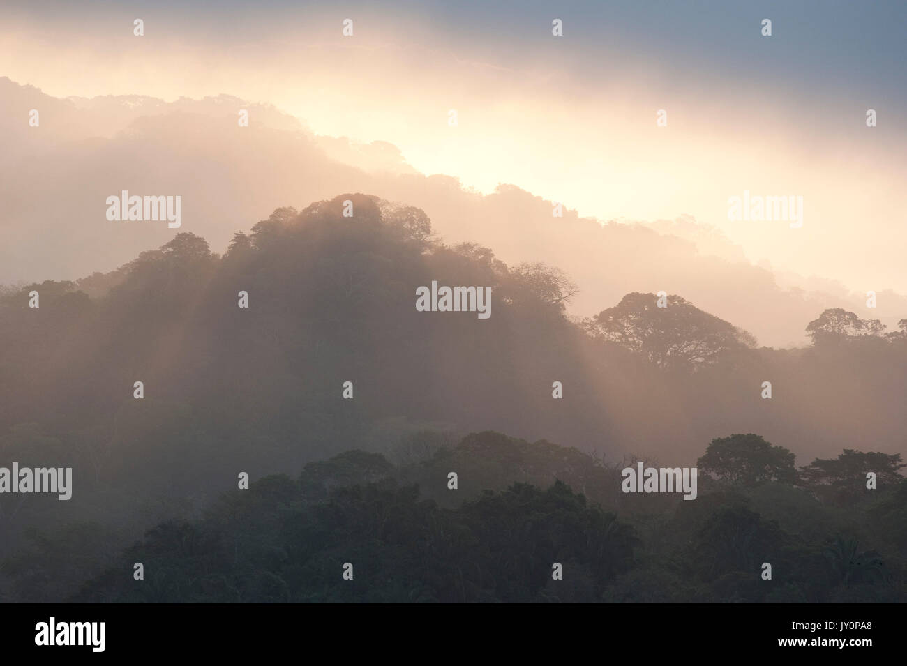 Sunrise vista sulla giungla tettoia, Panama, America Centrale, Gamboa Riserva, Parque Nacional Soberania, raggi di sole attraverso le nuvole Foto Stock