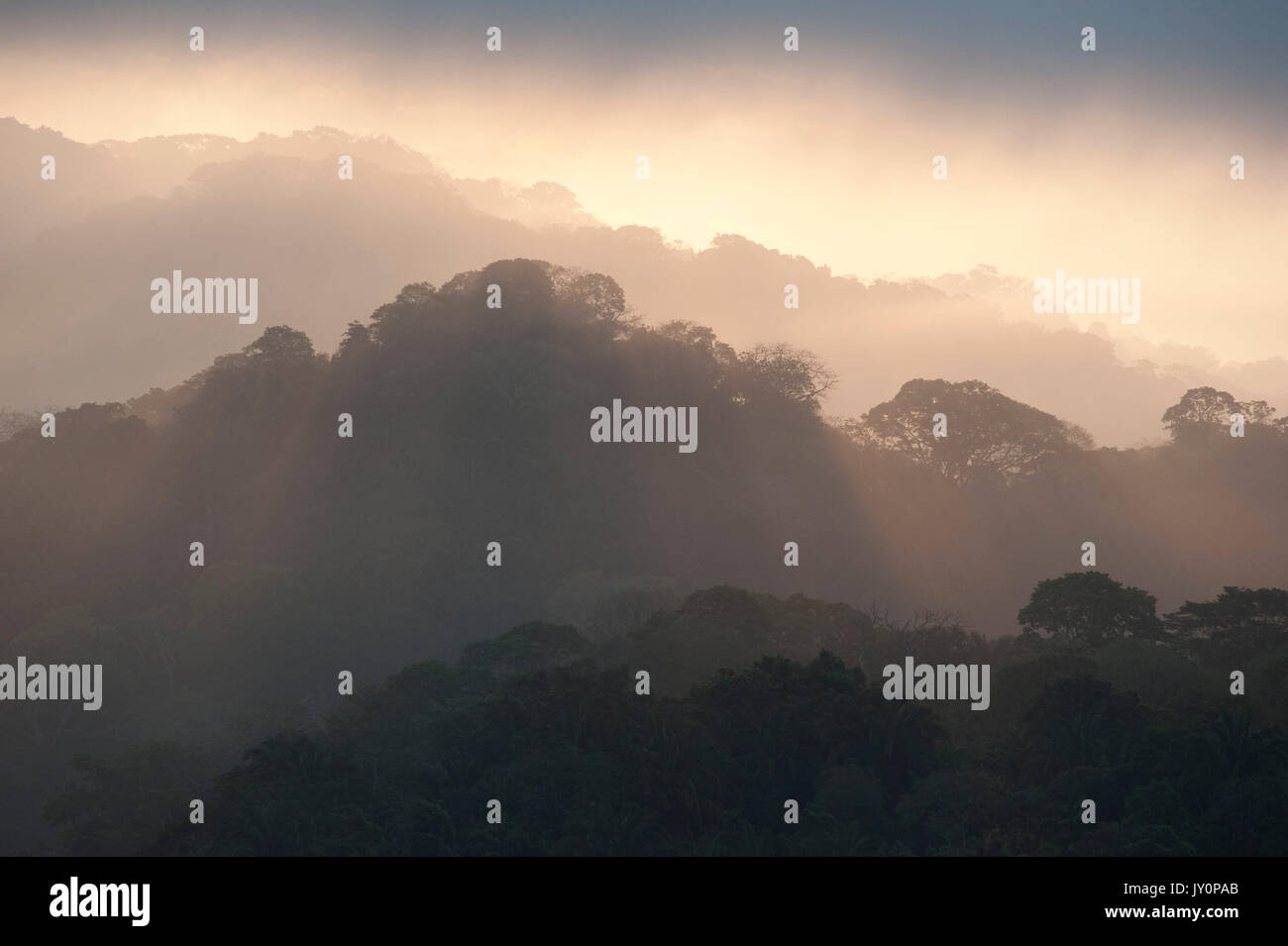 Sunrise vista sulla giungla tettoia, Panama, America Centrale, Gamboa Riserva, Parque Nacional Soberania, raggi di sole attraverso le nuvole Foto Stock