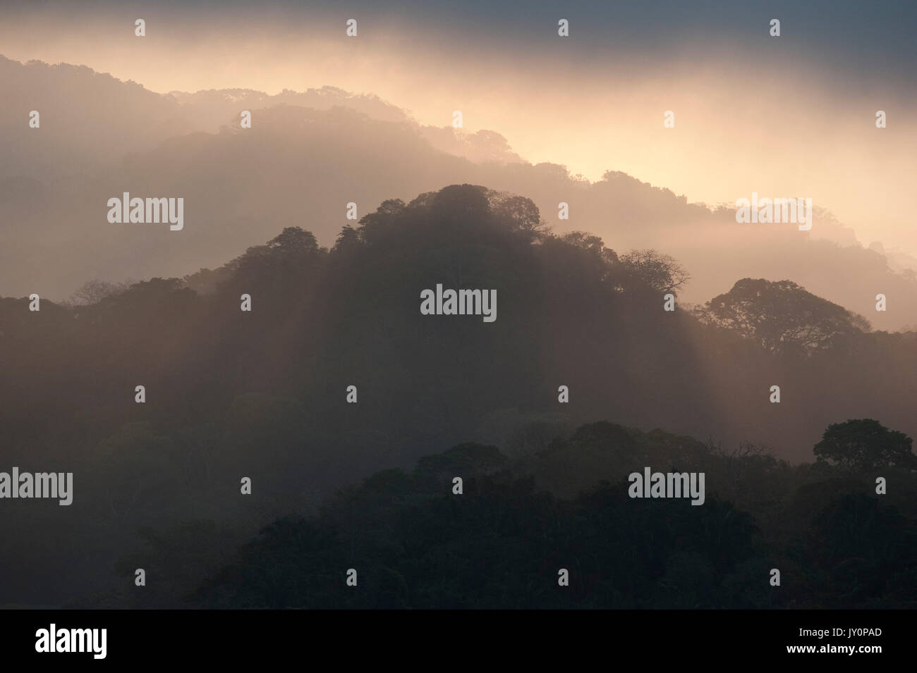 Sunrise vista sulla giungla tettoia, Panama, America Centrale, Gamboa Riserva, Parque Nacional Soberania, raggi di sole attraverso le nuvole Foto Stock