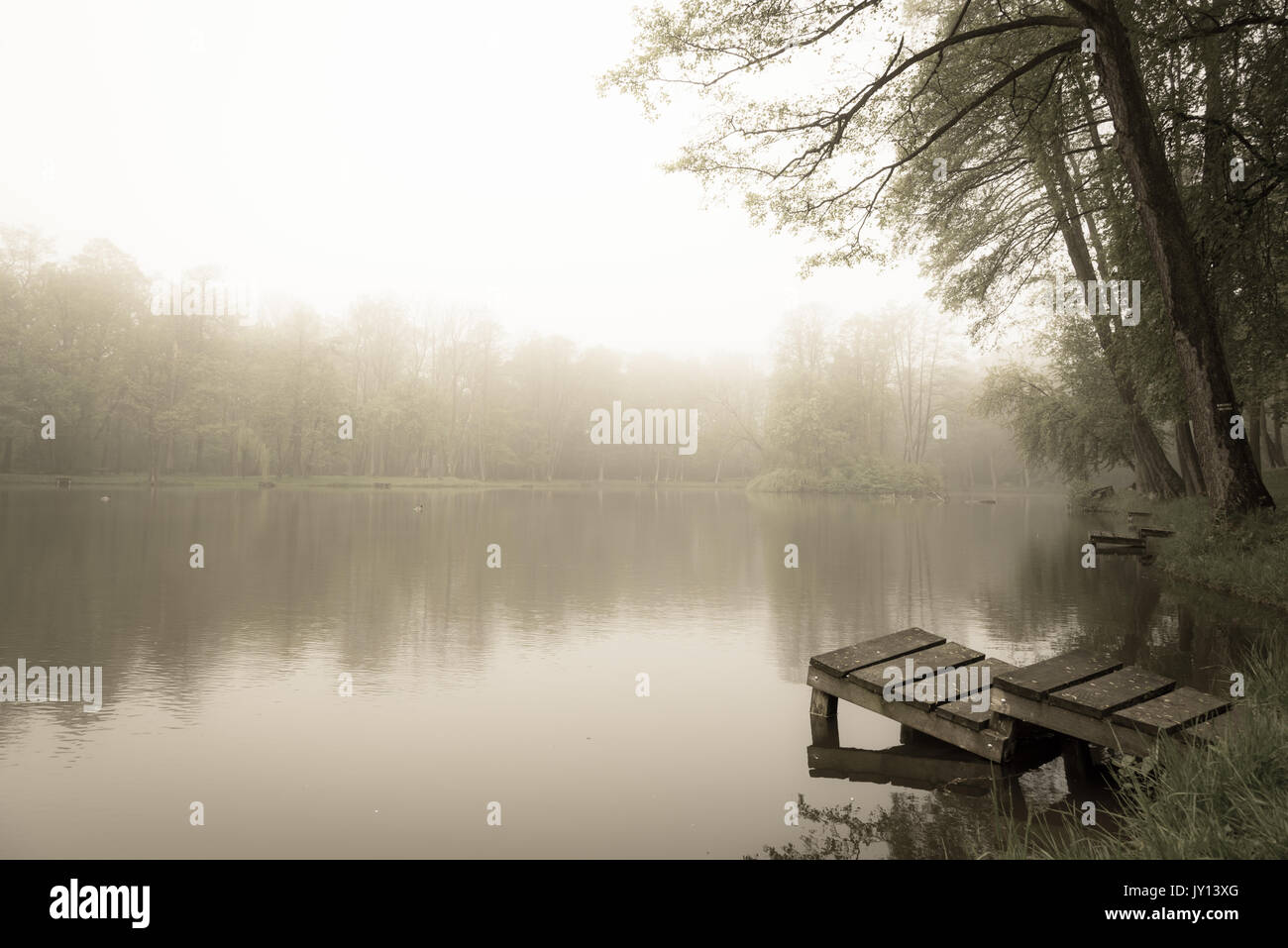 Il molo di legno al piccolo lago in un parco nella foschia mattutina Foto Stock