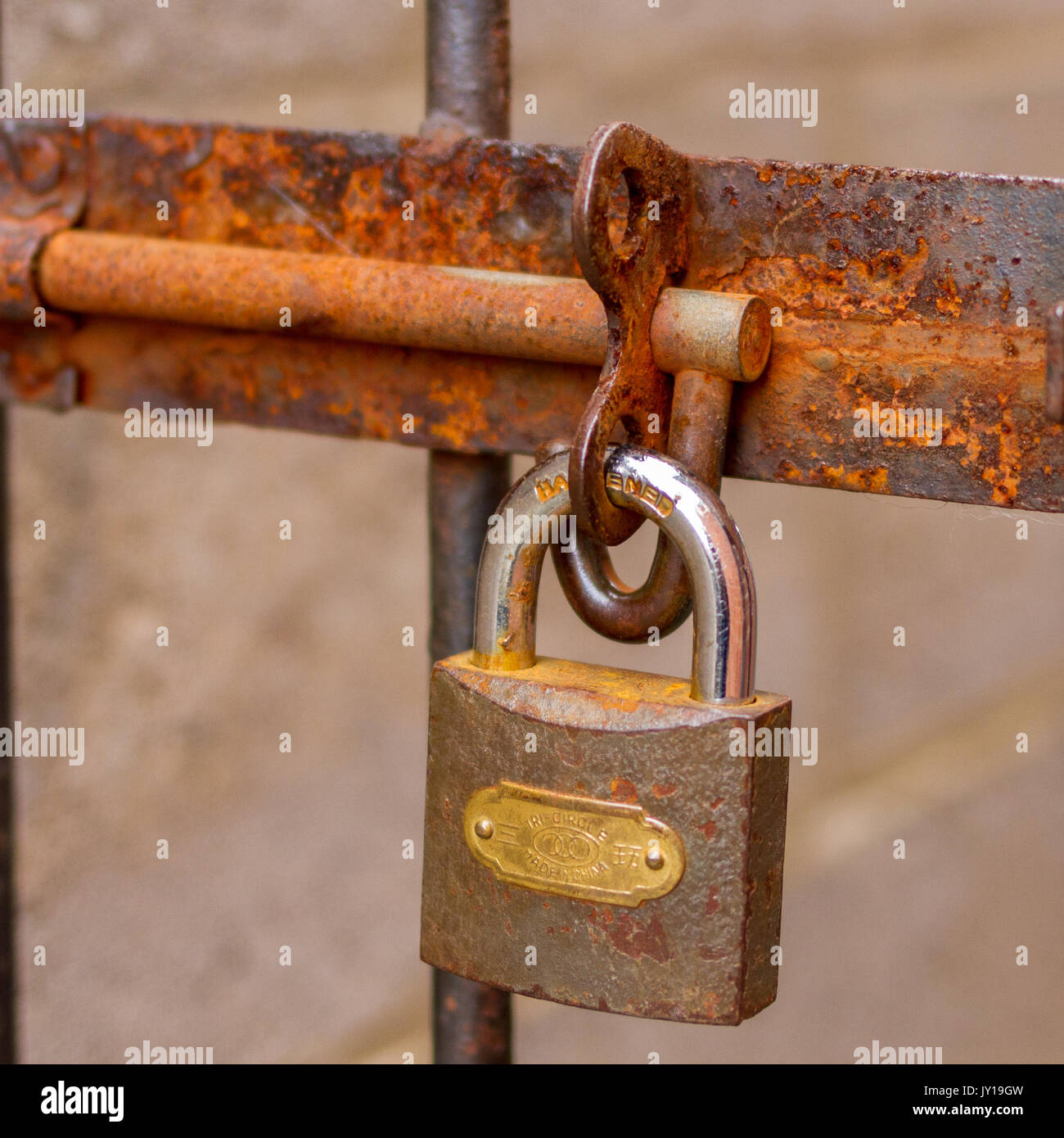 Close up di un lucchetto che fissano un bullone su un cancello del giardino Foto Stock