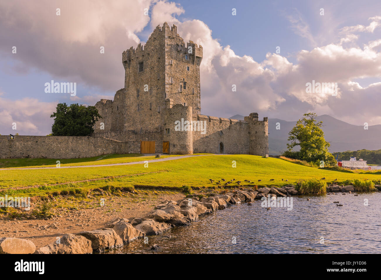 Castello di Ross è una quattrocentesca torre casa e tenere sul bordo del Lough Leane, nel Parco Nazionale di Killarney, nella contea di Kerry, Irlanda. Foto Stock