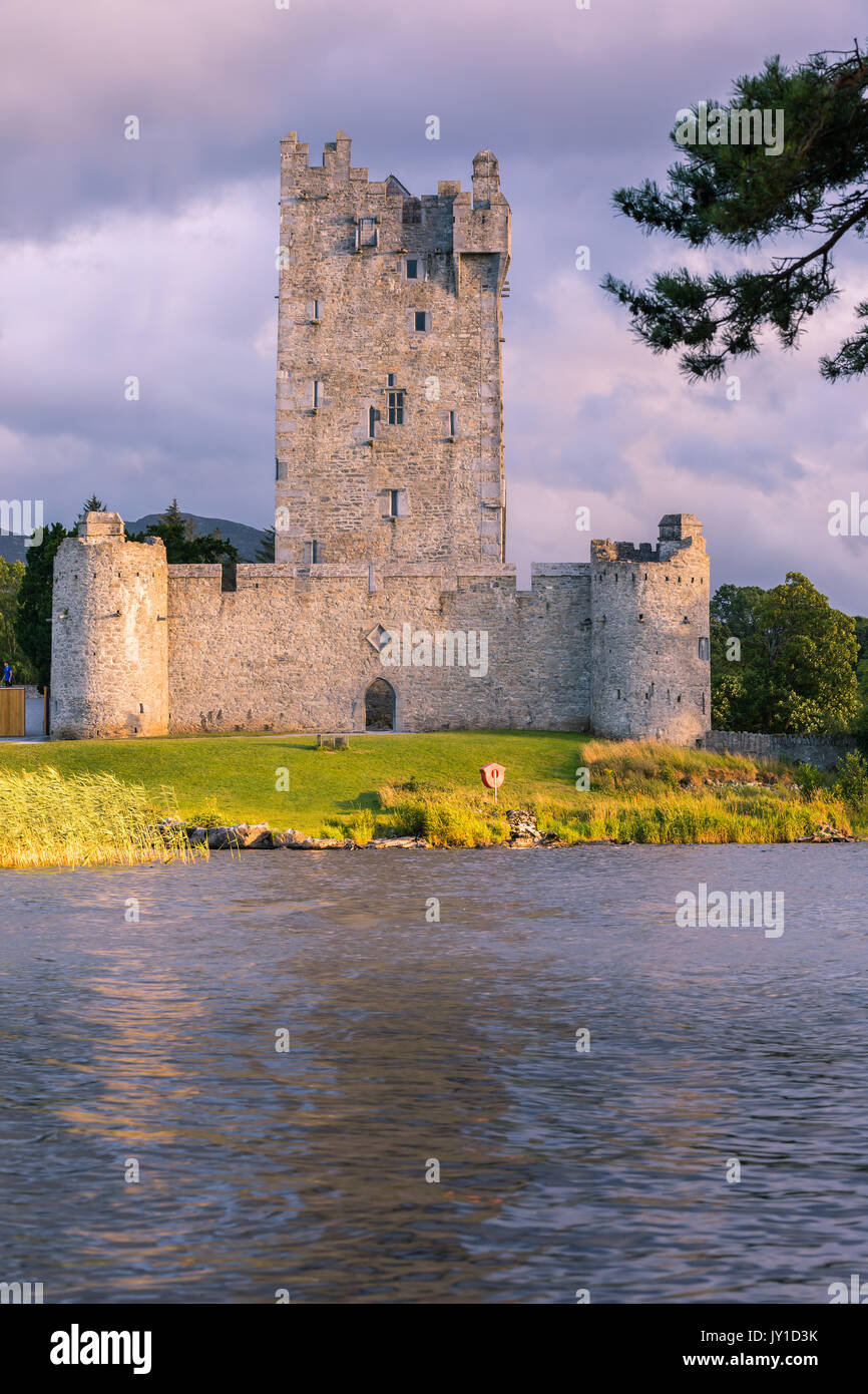 Castello di Ross è una quattrocentesca torre casa e tenere sul bordo del Lough Leane, nel Parco Nazionale di Killarney, nella contea di Kerry, Irlanda. Foto Stock