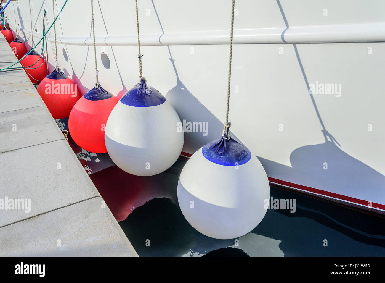 Boe di bianco a bordo della nave. Foto Stock