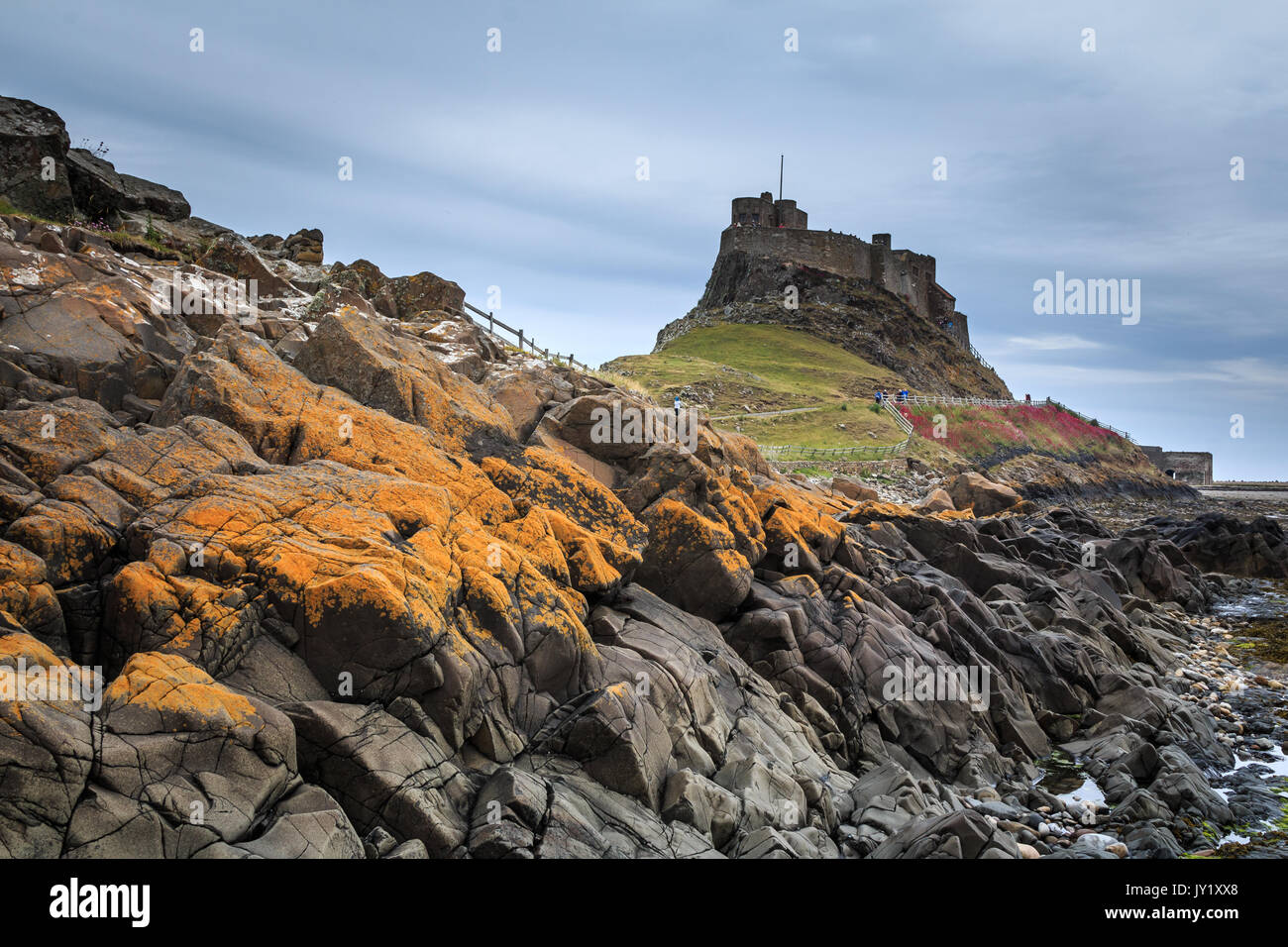 Vista di Lindisfarne Castle, Isola Santa, Northumberland Foto Stock