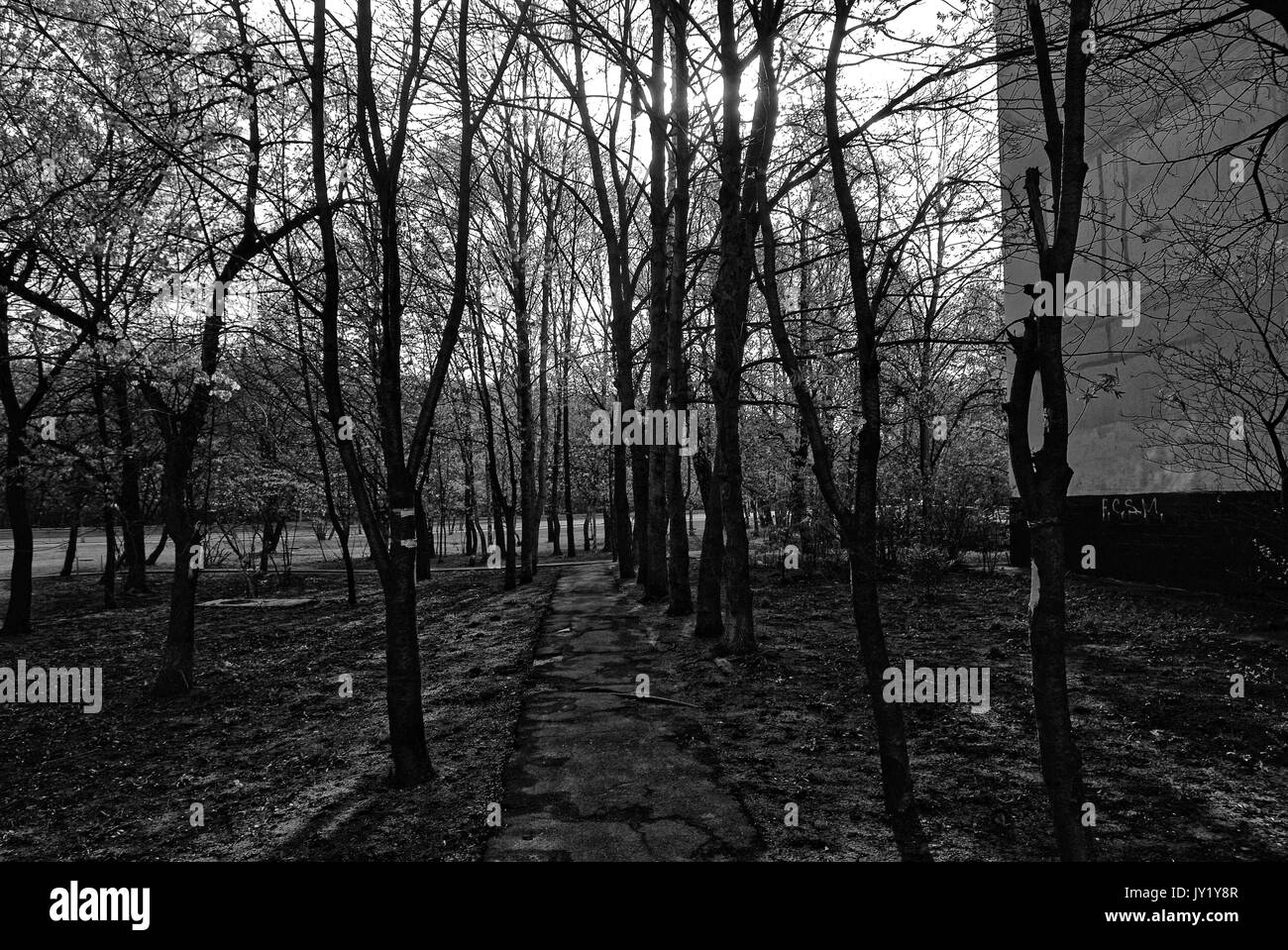 Ombre di alberi in primavera presso il marciapiede, distretto Teply Stan Foto Stock