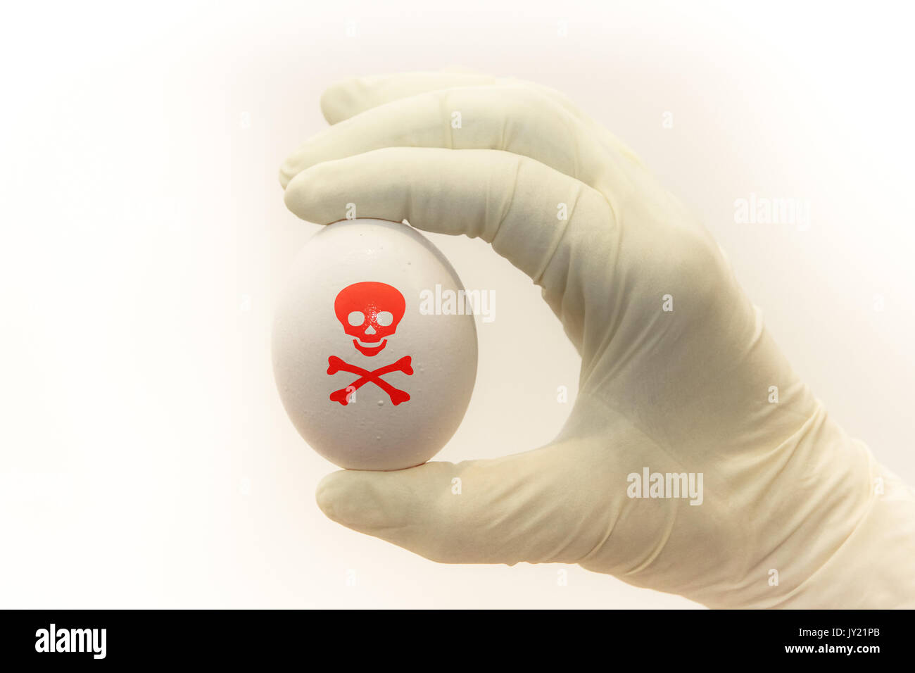 Uovo isolato sotto inchiesta beig esaminati con i guanti chirurgici con un veleno pericoloso simbolo dipinto sopra. Concetto di immagine per la contaminazione dei prodotti alimentari Foto Stock
