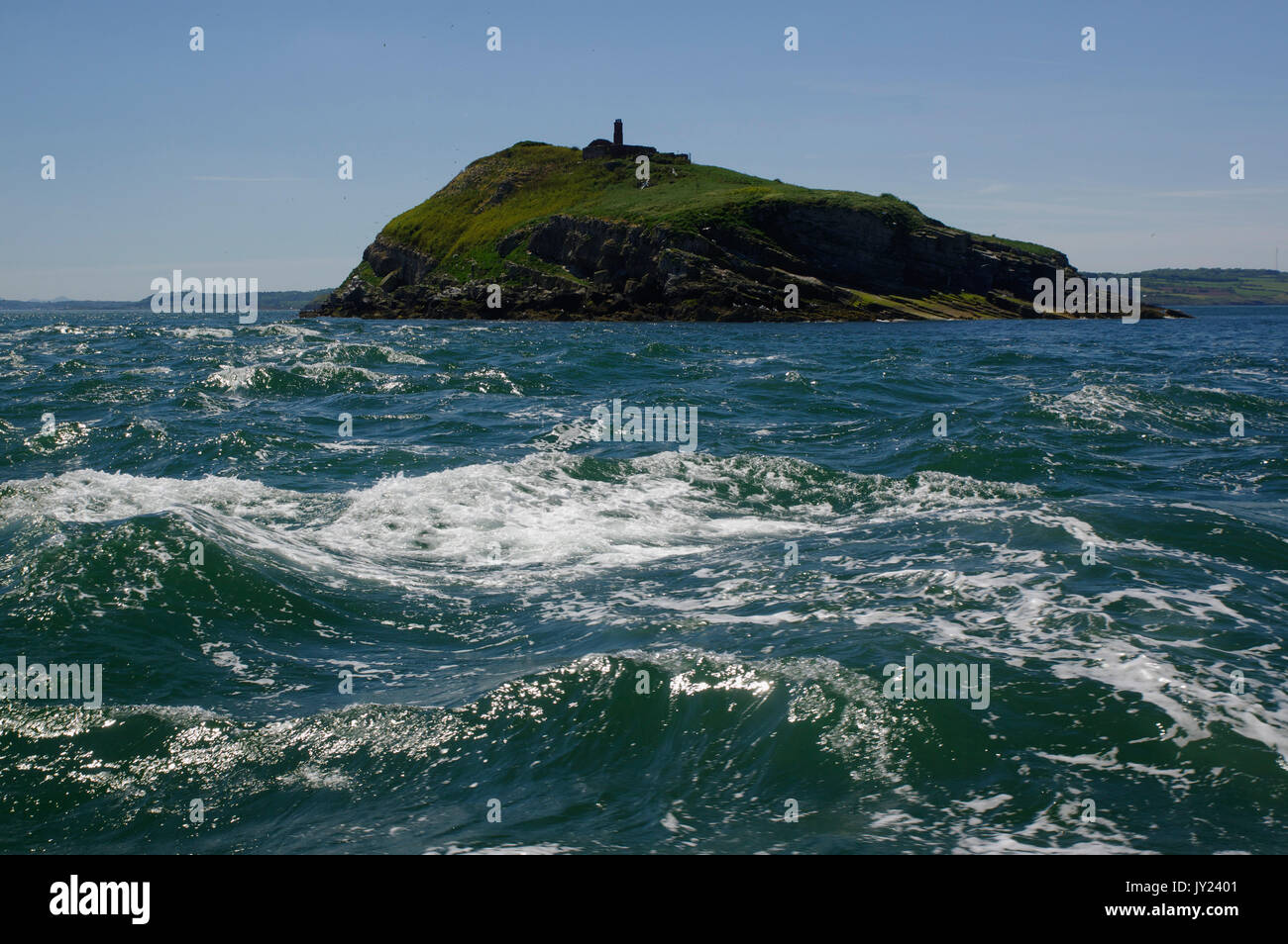 Isola di Puffin Anglesey, Galles del Nord, Foto Stock