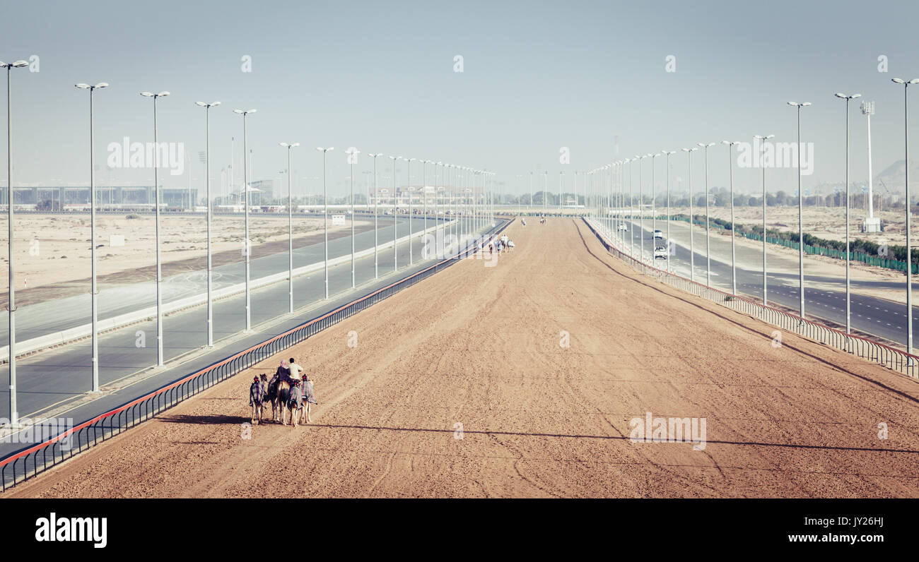 Dubai Camel Racing Club at Al Marmoom, EMIRATI ARABI UNITI Foto Stock