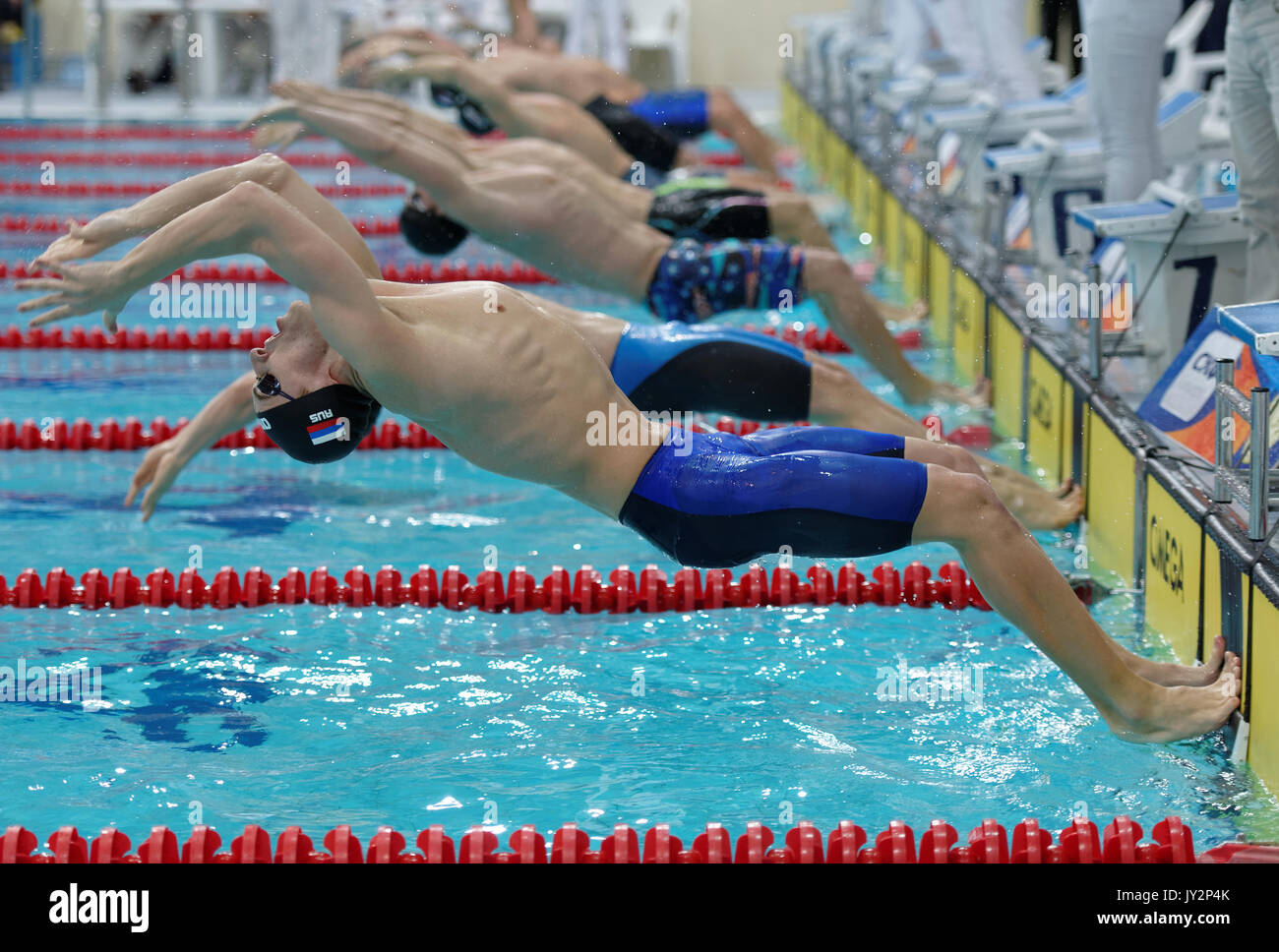 San Pietroburgo, Russia - 17 dicembre 2016: gli uomini su start di 50 m dorso nuoto durante X Vladimir Salnikov Cup. Atleti provenienti da 6 paesi par Foto Stock
