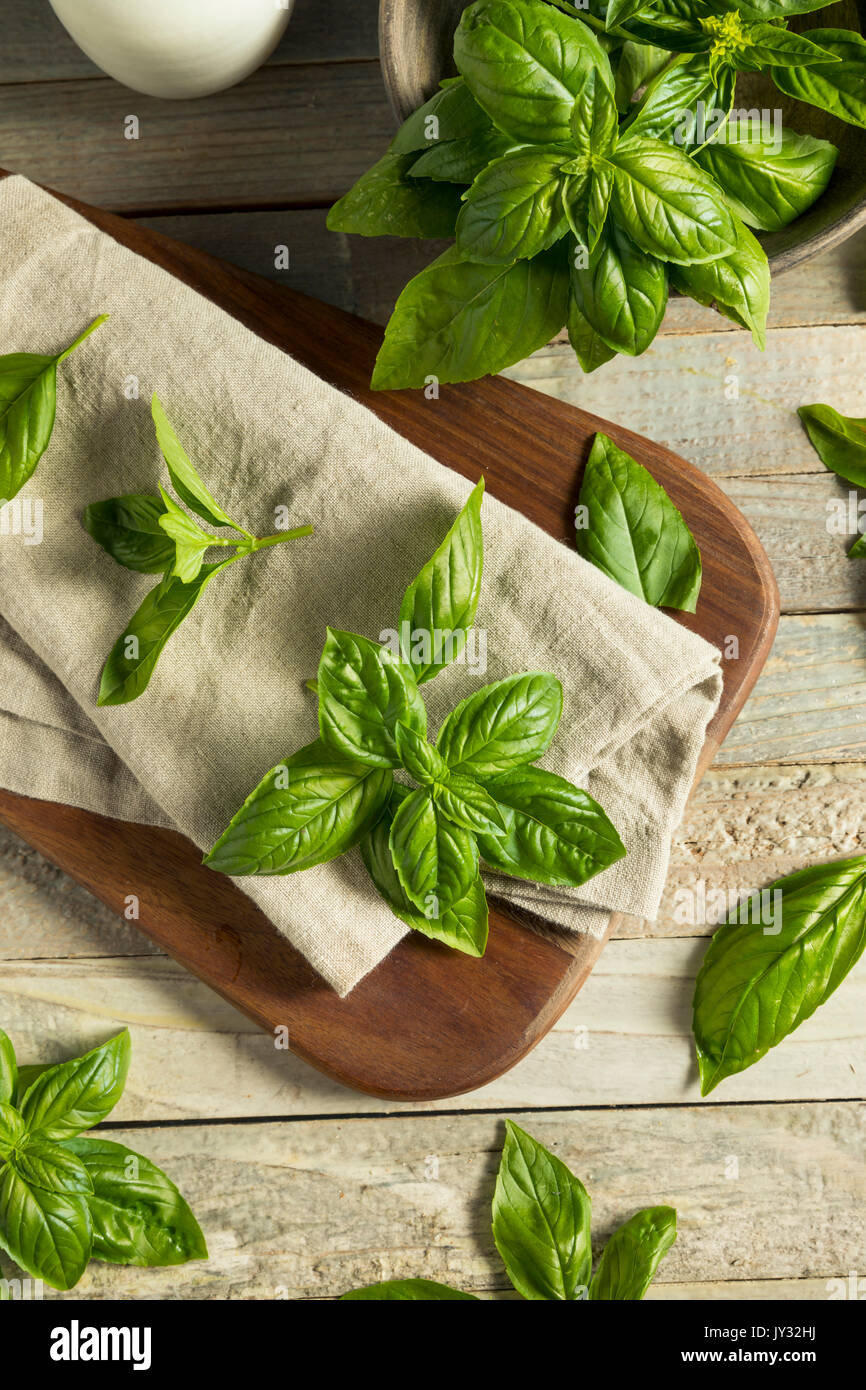 Materie organiche Verde foglie di basilico pronti per la cottura Foto Stock