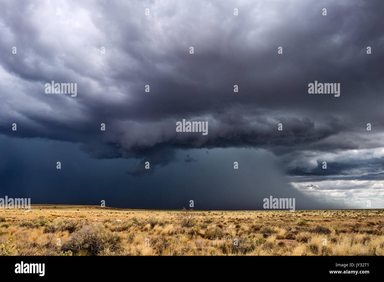 Temporale monsonica pesante con nubi di tempesta scura e pioggia vicino Winslow, Arizona Foto Stock