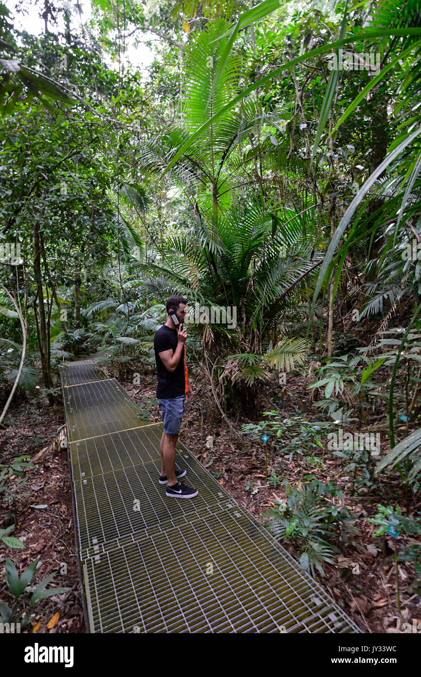 Visitatore maschio ascolto registrato il commento audio presso il Daintree Discovery Center, Parco Nazionale Daintree, QLD, estremo Nord Queensland, Australia Foto Stock