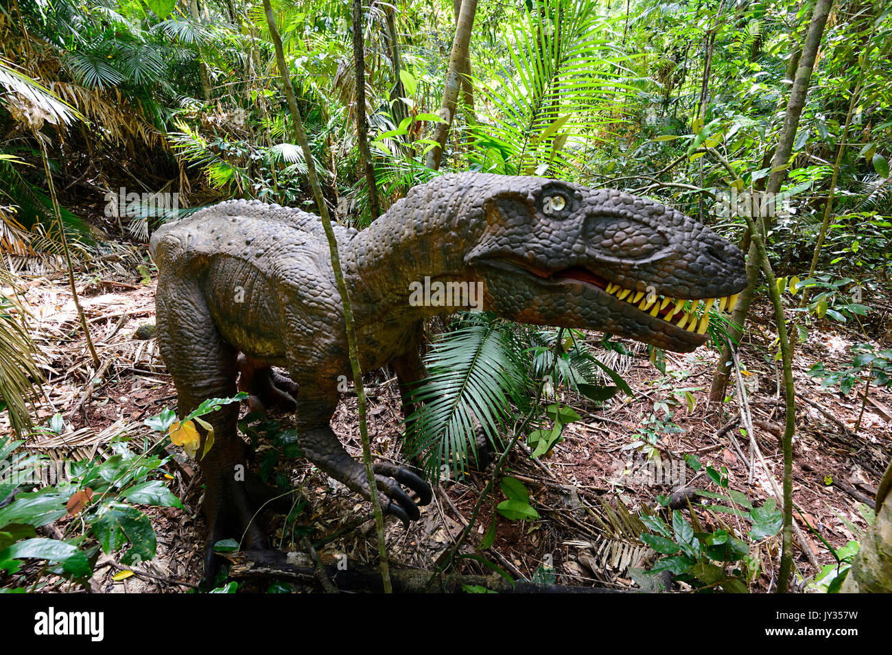 Australovenator wintonensis (Theropod) nel Giurassico foresta, Daintree Discovery Centre, QLD, Queensland, Australia Foto Stock