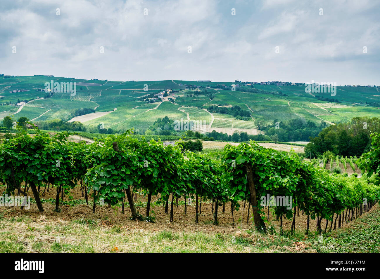 Paesaggio rurale in estate lungo la strada che da Vicobarone (Piacenza,  Emilia Romagna, Italia) a Santa Maria della Versa (Pavia Lombardia), in T  Foto stock - Alamy