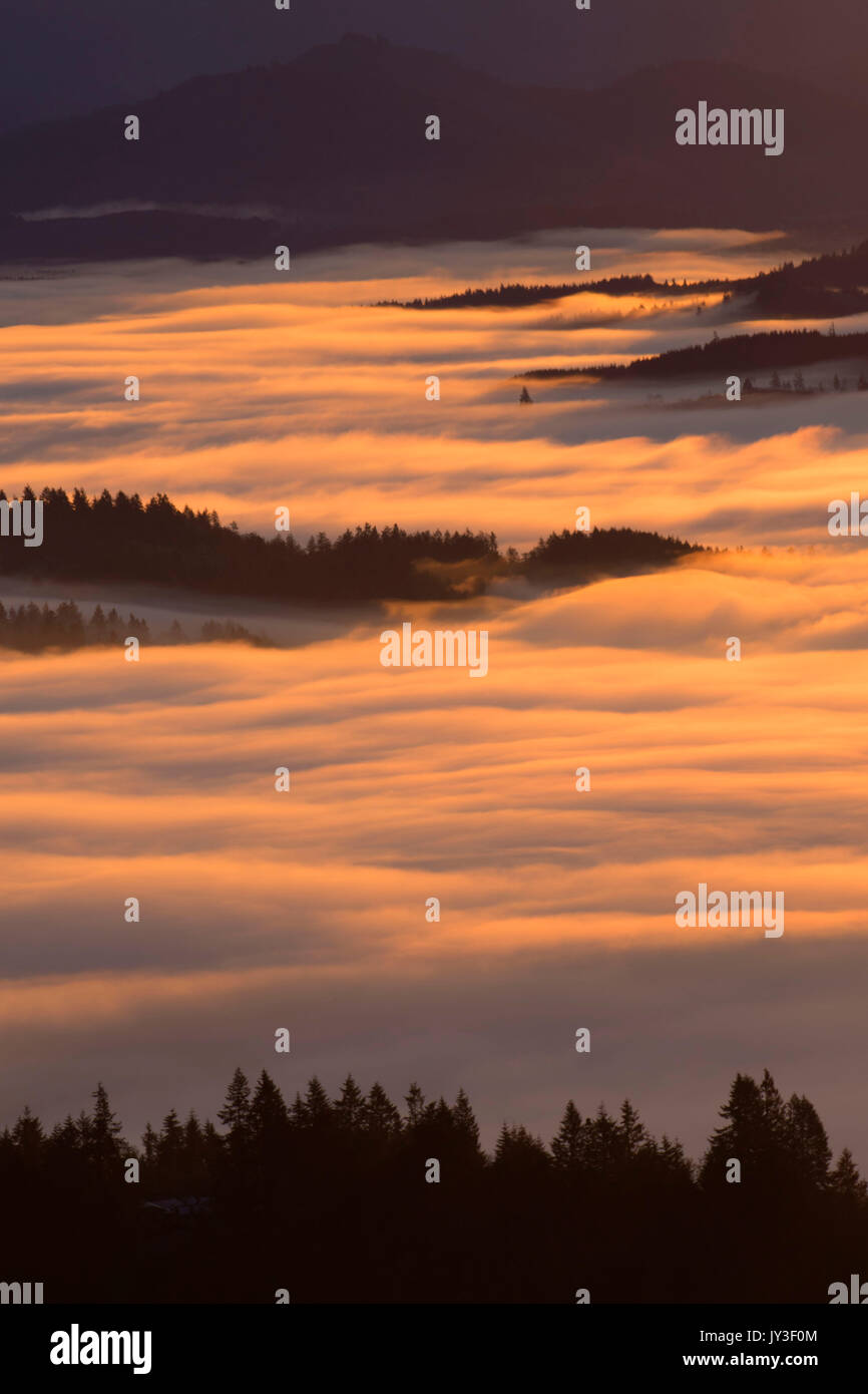 Willamette Valley nebbia dal vertice, Spencer Butte Park, Eugene, Oregon Foto Stock