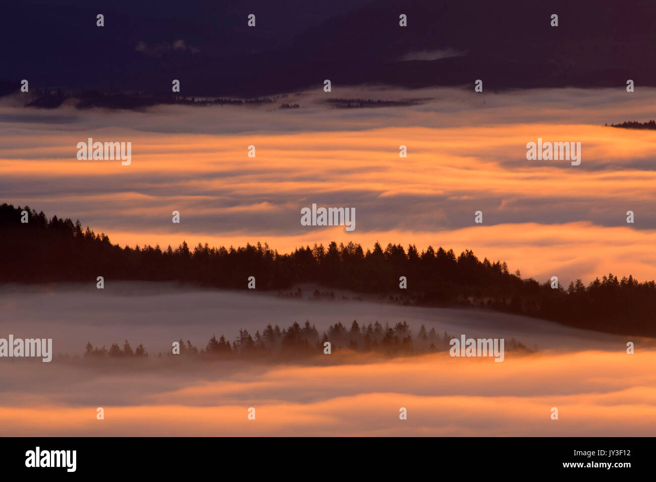 Willamette Valley nebbia dal vertice, Spencer Butte Park, Eugene, Oregon Foto Stock
