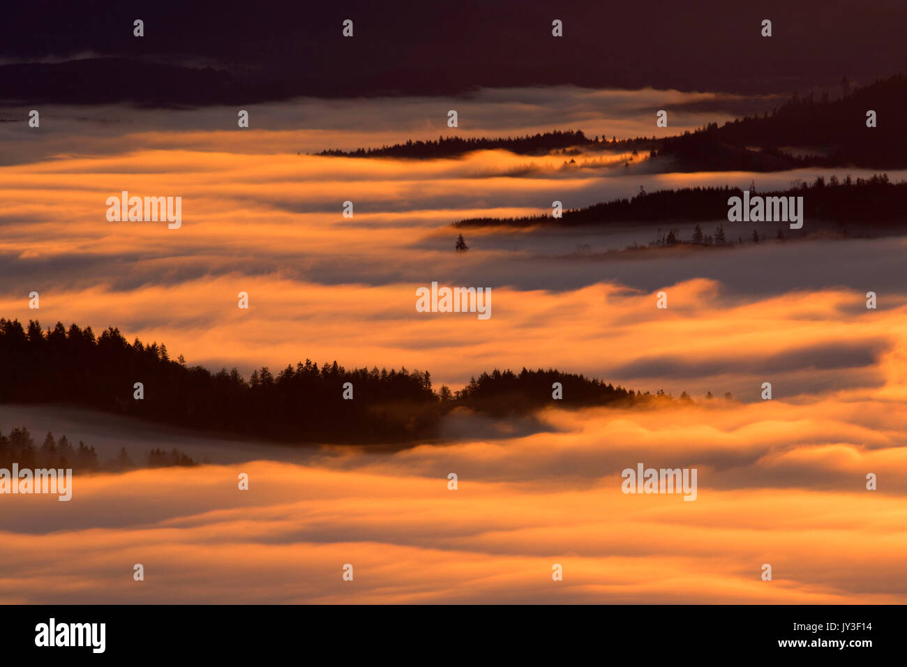 Willamette Valley nebbia dal vertice, Spencer Butte Park, Eugene, Oregon Foto Stock