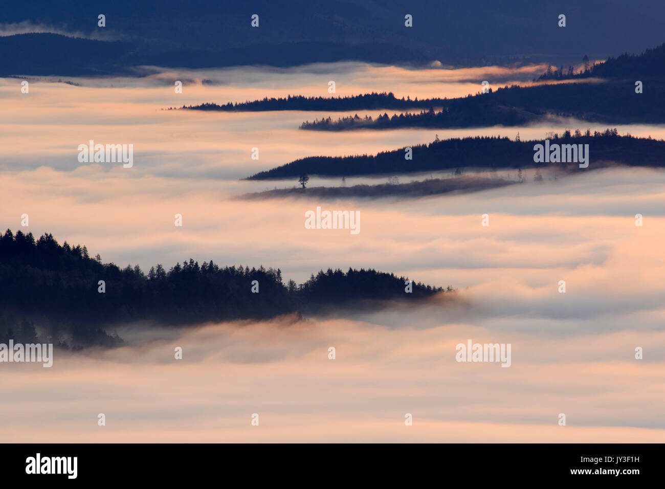 Willamette Valley nebbia dal vertice, Spencer Butte Park, Eugene, Oregon Foto Stock