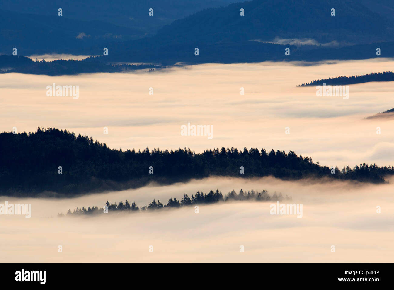 Willamette Valley nebbia dal vertice, Spencer Butte Park, Eugene, Oregon Foto Stock