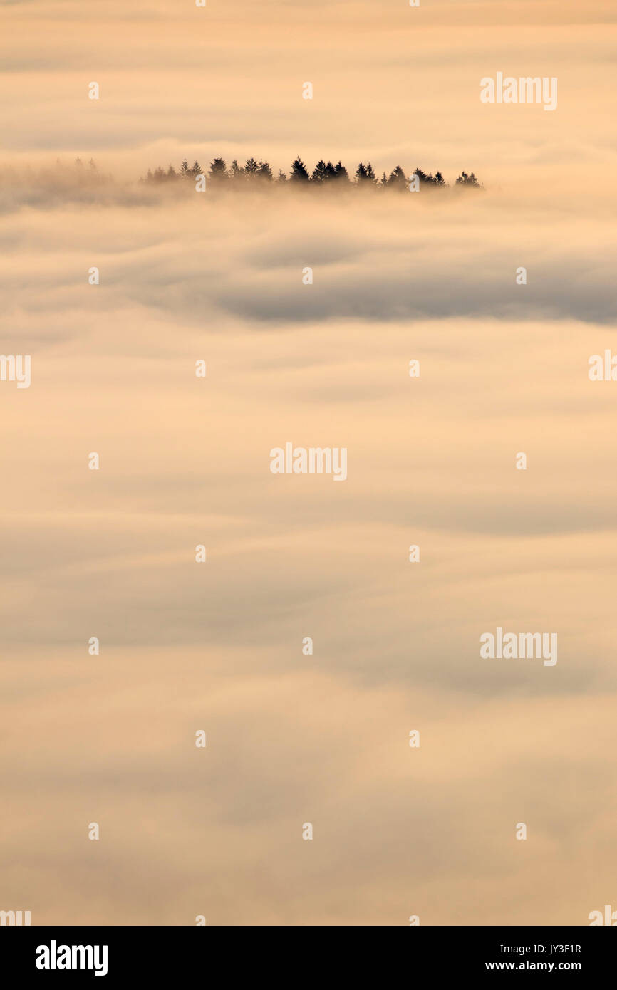 Willamette Valley nebbia dal vertice, Spencer Butte Park, Eugene, Oregon Foto Stock