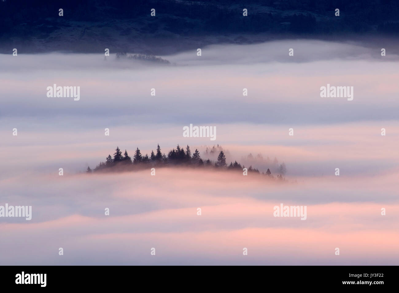 Willamette Valley nebbia dal vertice, Spencer Butte Park, Eugene, Oregon Foto Stock