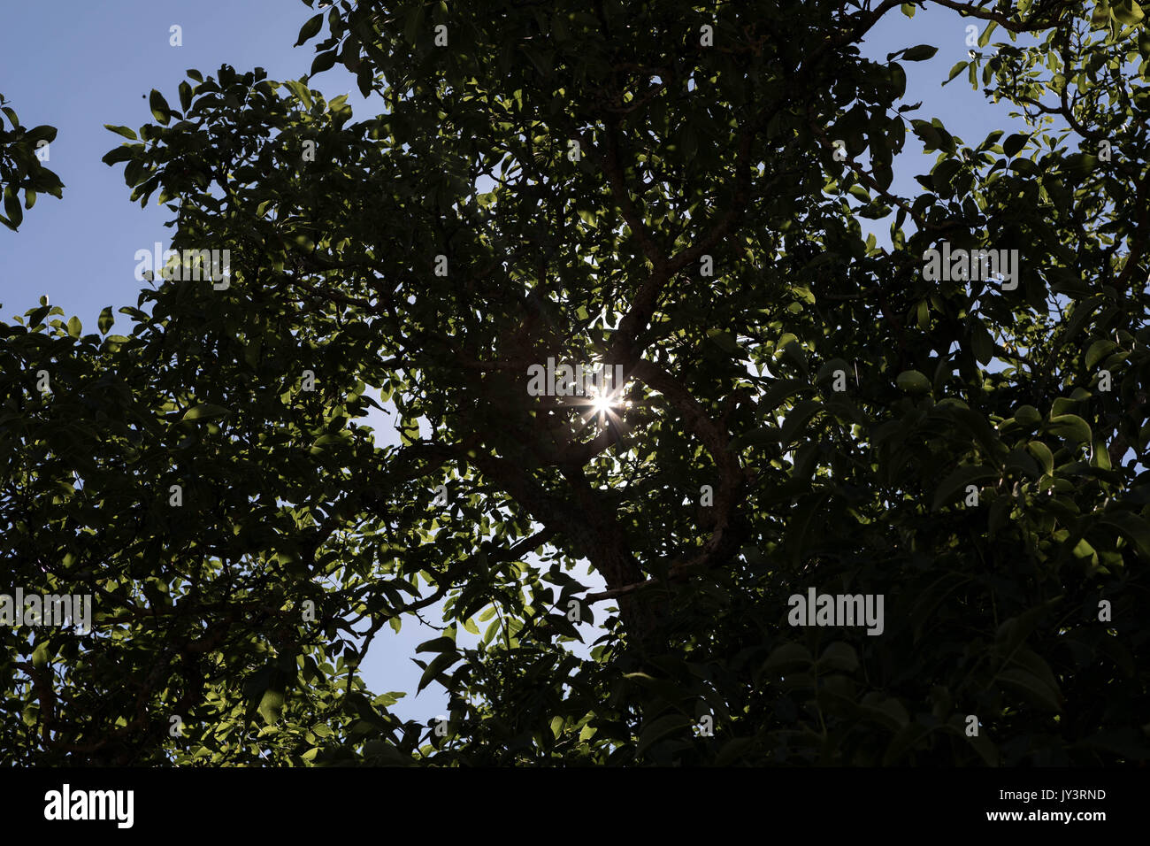 Foto del sud della Francia - HD - ultimi Foto Stock