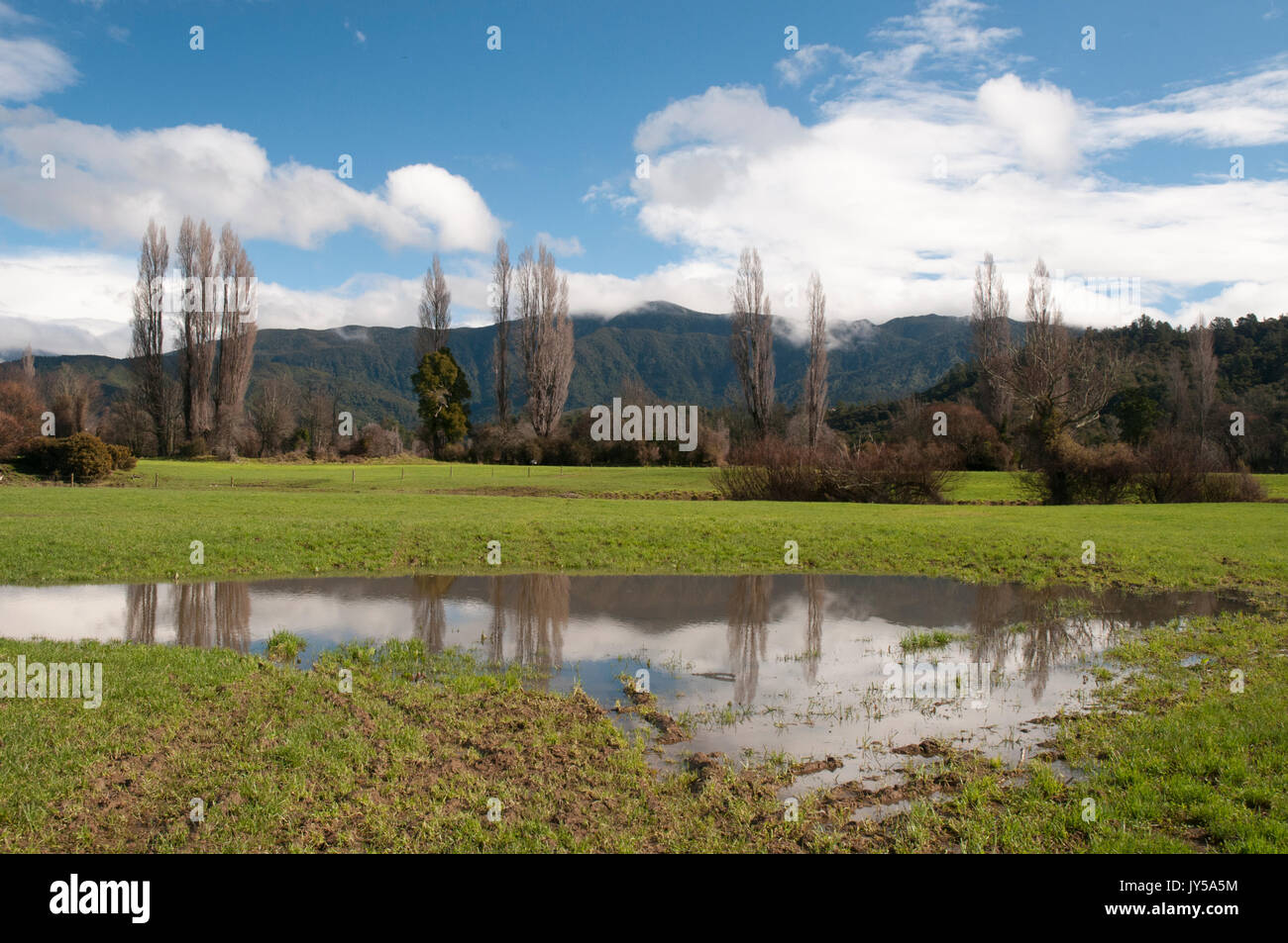 Campagna dopo la pioggia, Takaka Hill autostrada, Nuova Zelanda Foto Stock
