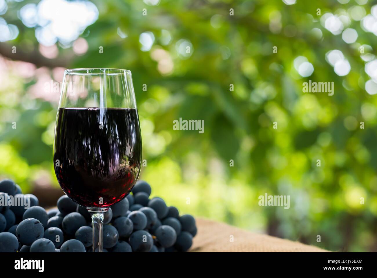 Vino rosso il vetro e il grappolo di uva outdoor contro verde sfocata sfondo naturale. spazio nel lato destro. Foto Stock
