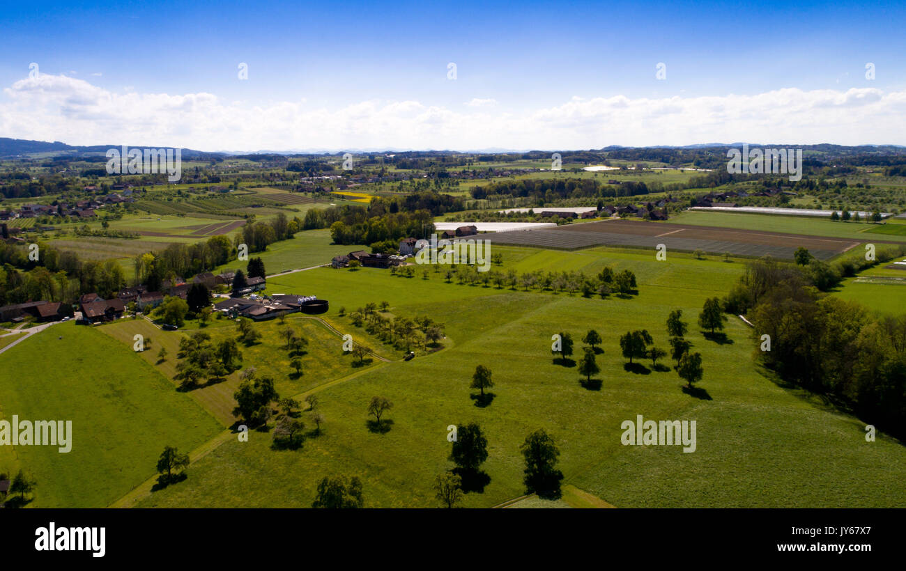 Luftaufnahme Landwirtschaftsbetrieb.Caption locale *** Turgovia, Svizzera, Vista Aerea, la fotografia aerea, dal di sopra, la prospettiva aerea, alta- Foto Stock