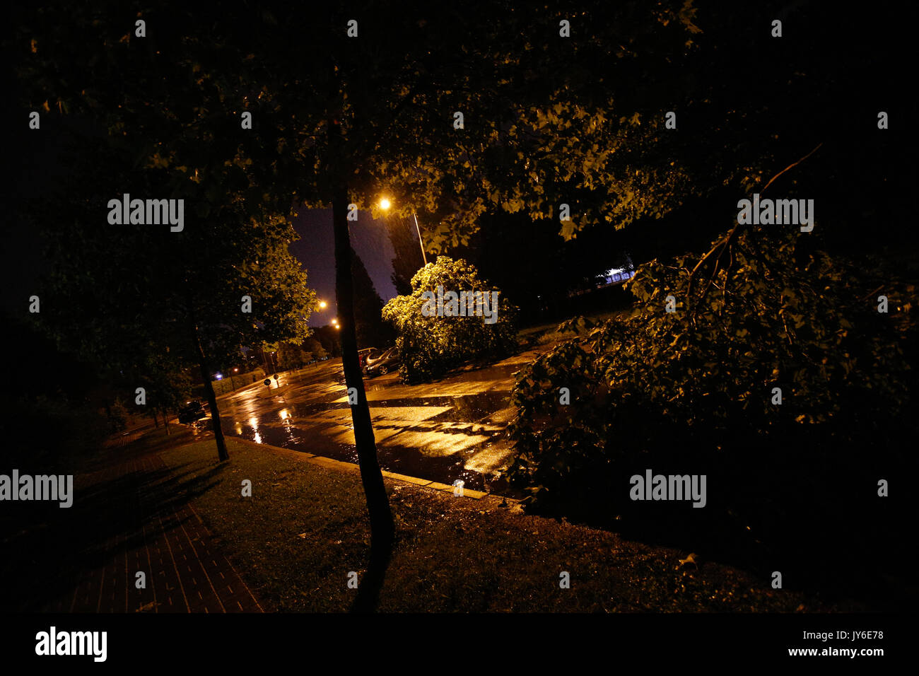 Gli alberi caduti sono visti bloccare una strada durante una tempesta improvvisa con forti venti e tuoni a Bydgoszcz (Polonia) l'11 agosto, 2017. Foto Stock