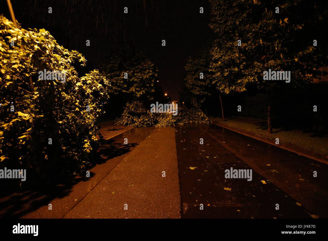 Gli alberi caduti sono visti bloccare una strada durante una tempesta improvvisa con forti venti e tuoni a Bydgoszcz (Polonia) l'11 agosto, 2017. Foto Stock