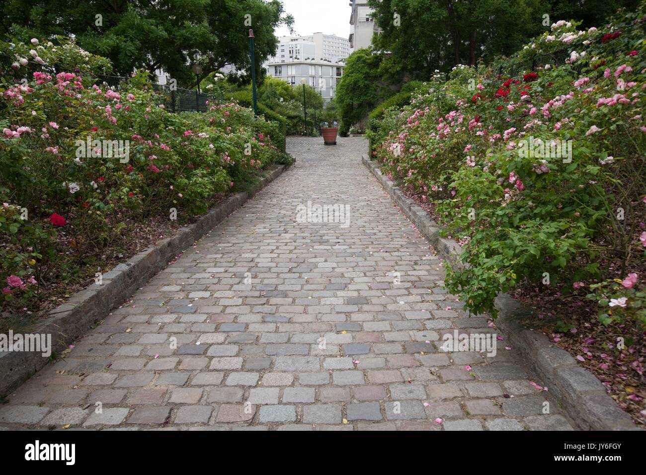 Allée pavée à Paris Photo Gilles Targat Foto Stock