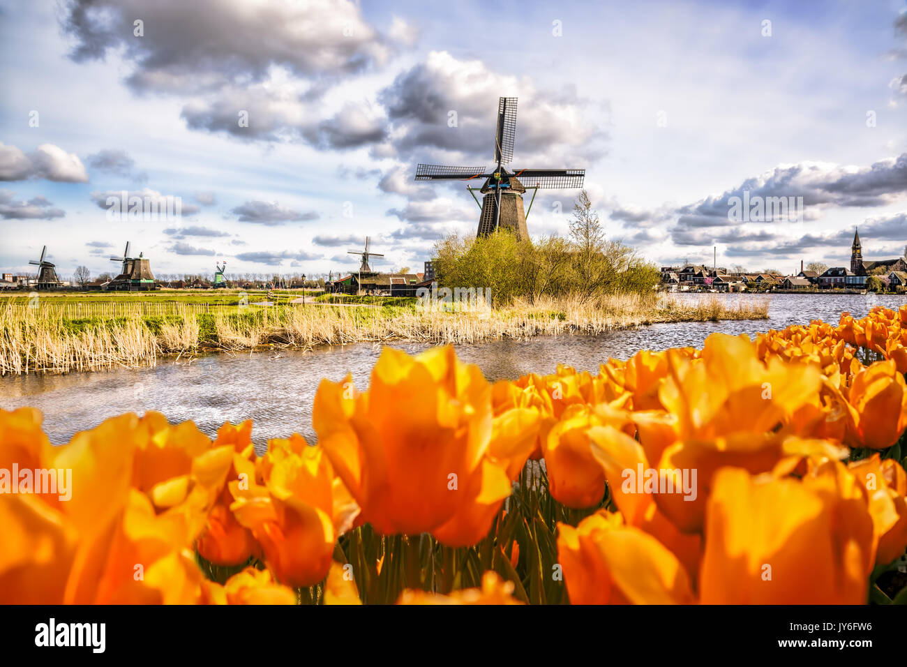 Tradizionale mulino a vento olandese con tulipani a Zaanse Schans, area di Amsterdam, Olanda Foto Stock
