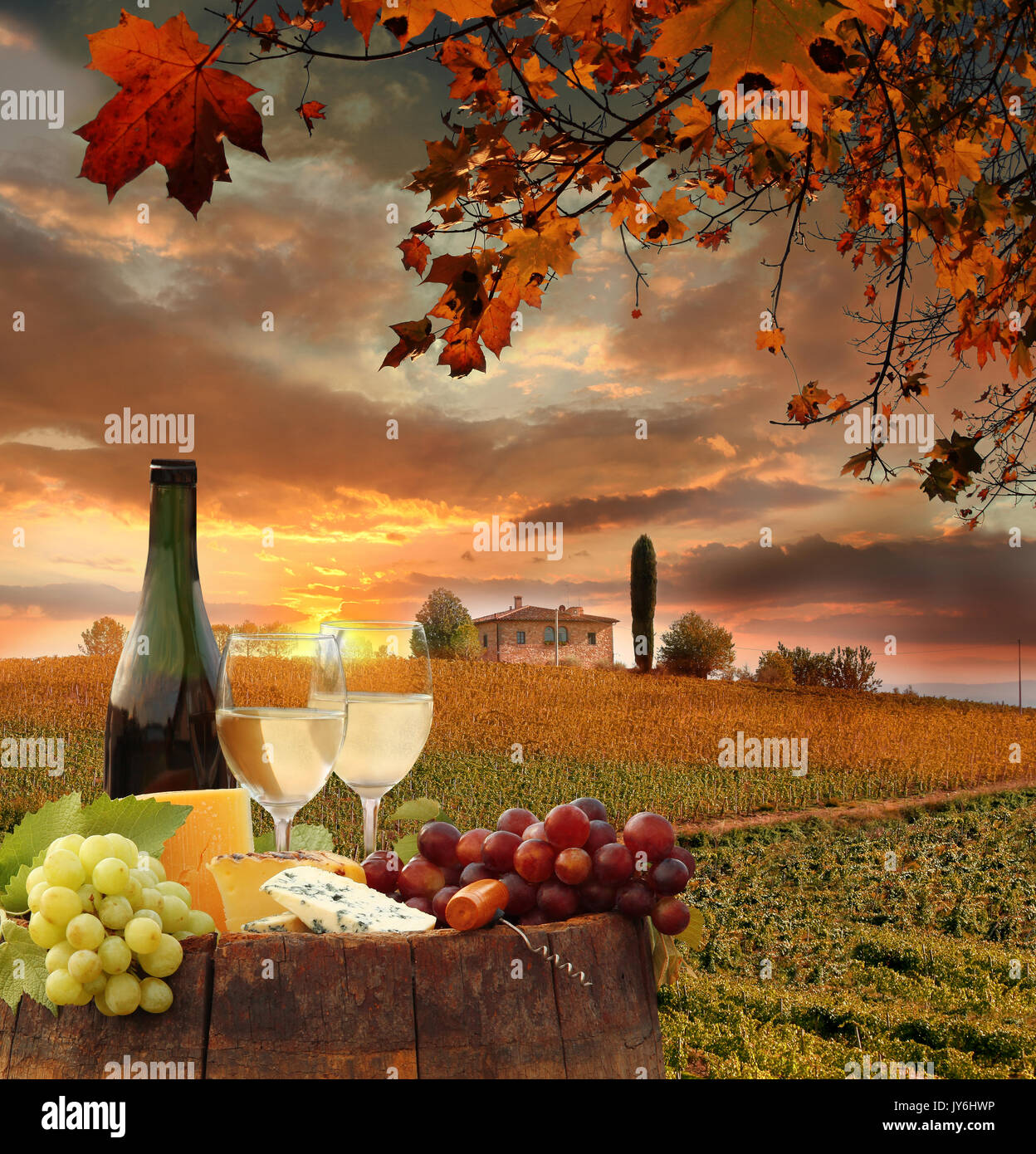 Vino bianco con canna sul famoso vigneto in chianti, Toscana, Italia Foto Stock
