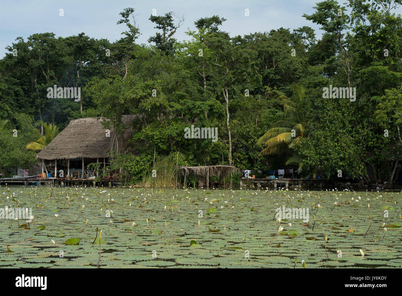 Tipico villaggio tropicale di Rio Dulce distretto in Guatemala, nel modo a Livingston Foto Stock