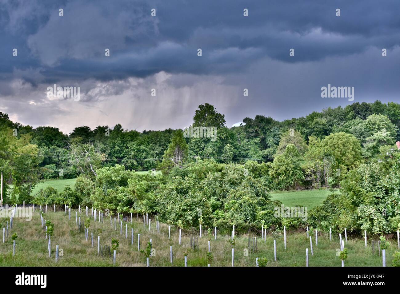 Thunder nuvole che si muovono in su la fattoria Foto Stock