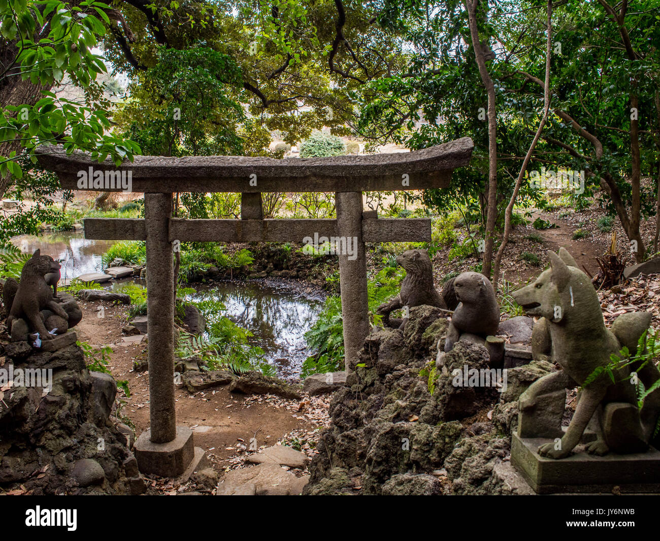 Torii gateway e pietra kitsune, Koshikawa Giardino Botanico, Bunkyō, Tokyo, Giappone Foto Stock