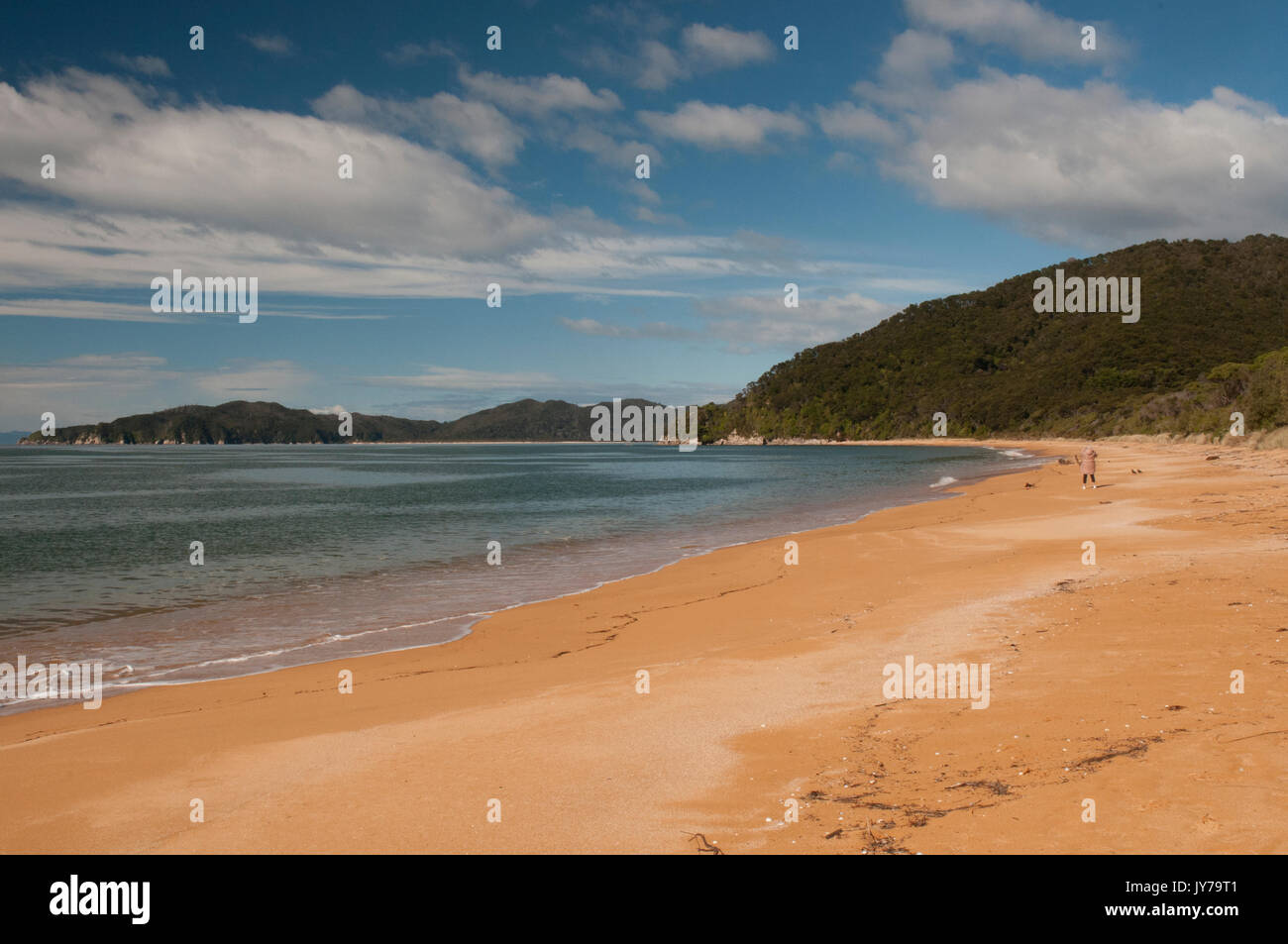 Spiaggia di Golden Sands a Totaranui, la porta nord al Parco Nazionale Abel Tasman, Isola del Sud, Nuova Zelanda Foto Stock