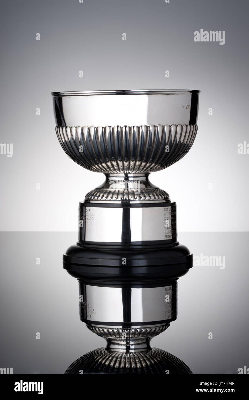 Silver Cup o trofeo Foto Stock