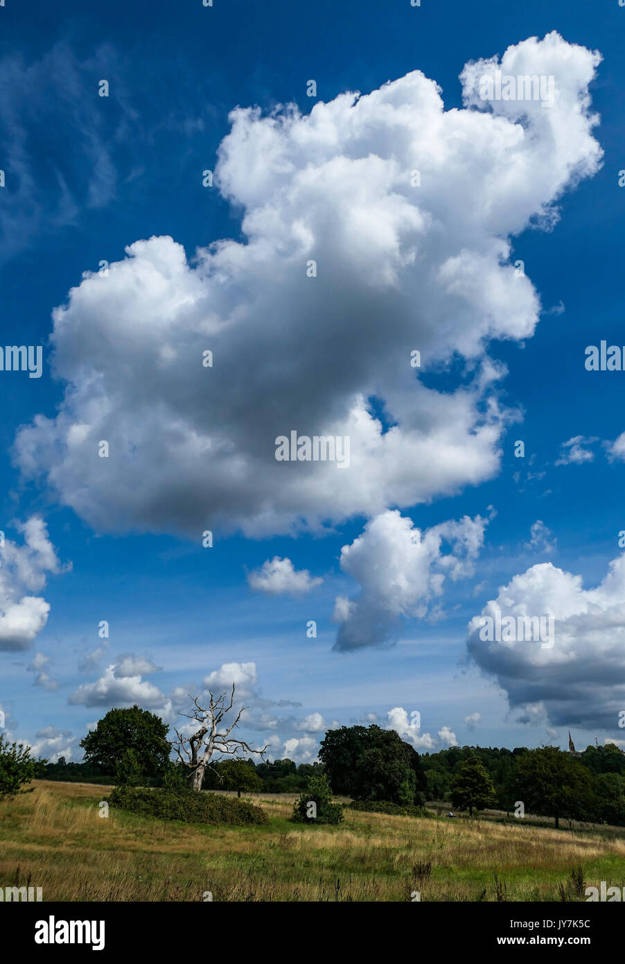 Cumulus nubi su Hampstead Heath, Londra Foto Stock