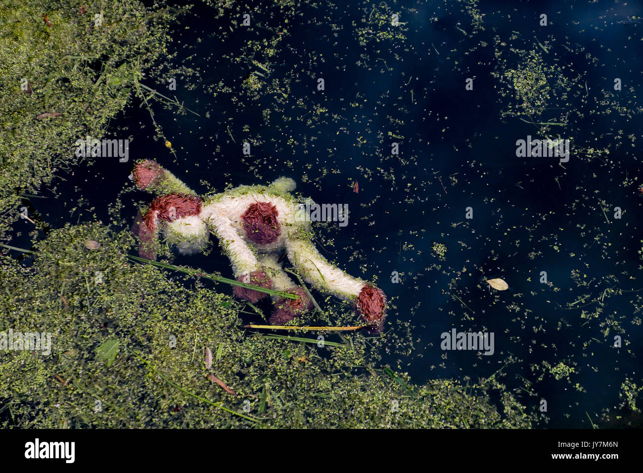 Un affogato giocattolo morbido Foto Stock