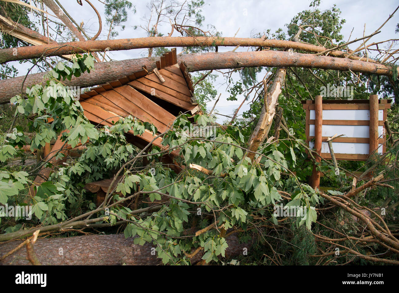 Distrutto luogo di riposo e di alberi caduti nella foresta causato da estremamente alta velocità del vento durante la tempesta a pochi giorni fa in Jeziorki, Polonia 16 Agosto 2017 Foto Stock