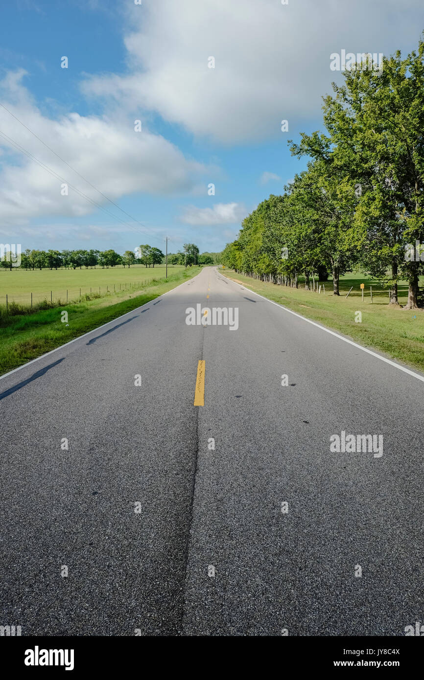 Un un solitario alberata County road nel sud rurale, al di fuori di Montgomery in Alabama, Stati Uniti d'America. Le auto non sono visibili in questa sezione diritta. Foto Stock