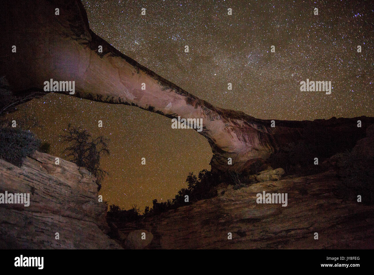 Natural Bridges State Park, Utah, Stati Uniti d'America. Ponte Owachomo sotto uno spettacolare cielo notturno. Foto Stock