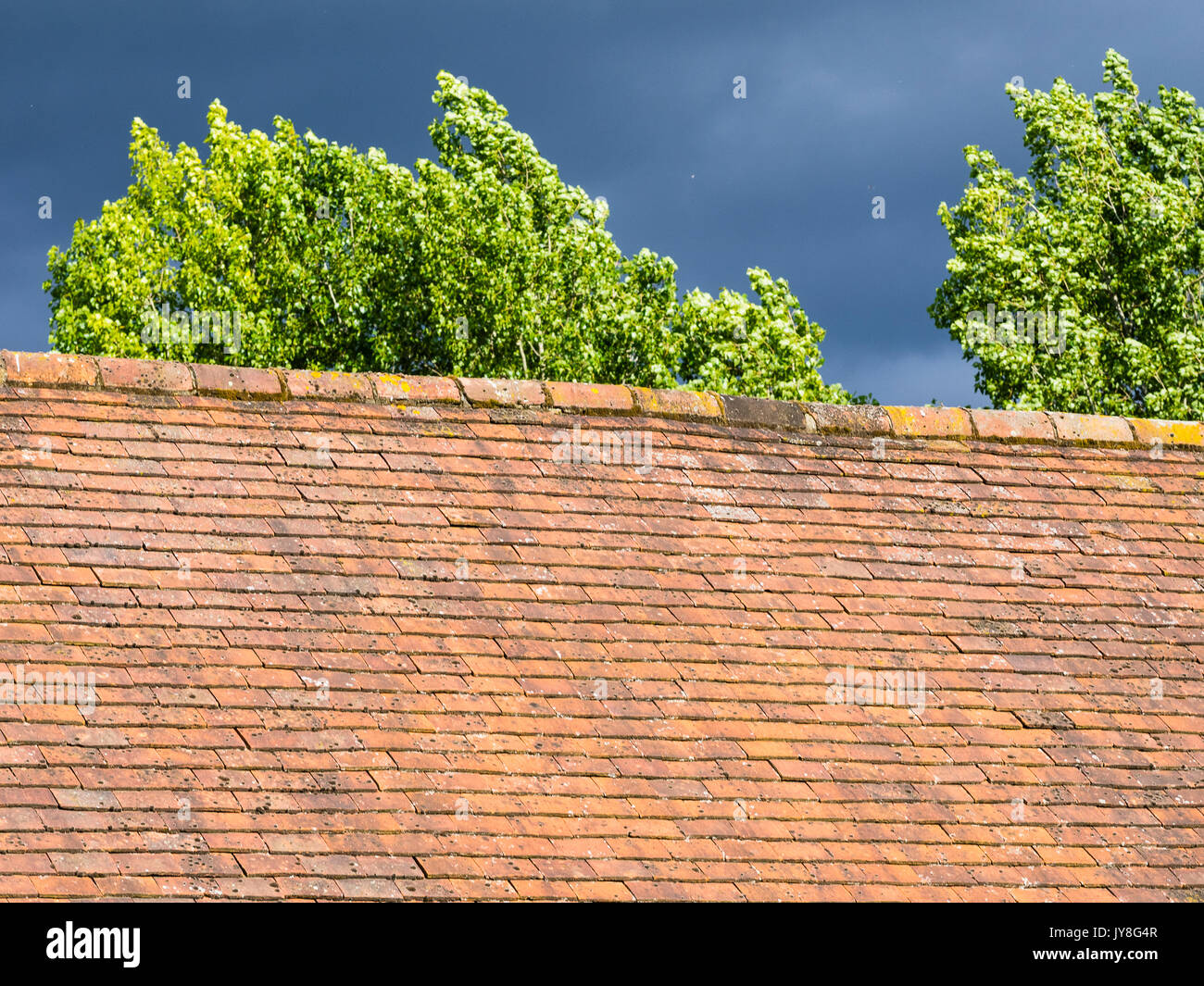 Kent, Regno Unito. Vecchio stile di campagna tetto di tegole di fronte alberi verdi sotto il grigio scuro nuvole. Foto Stock