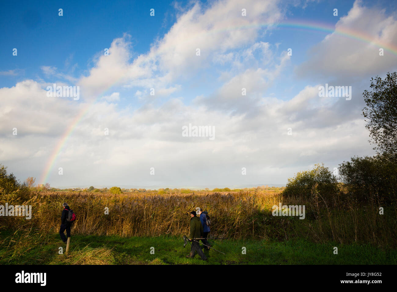 Livelli di Somerset, Regno Unito. Tre i camminatori escursione passato sotto un arcobaleno contro il cielo blu nel Somerset. Foto Stock