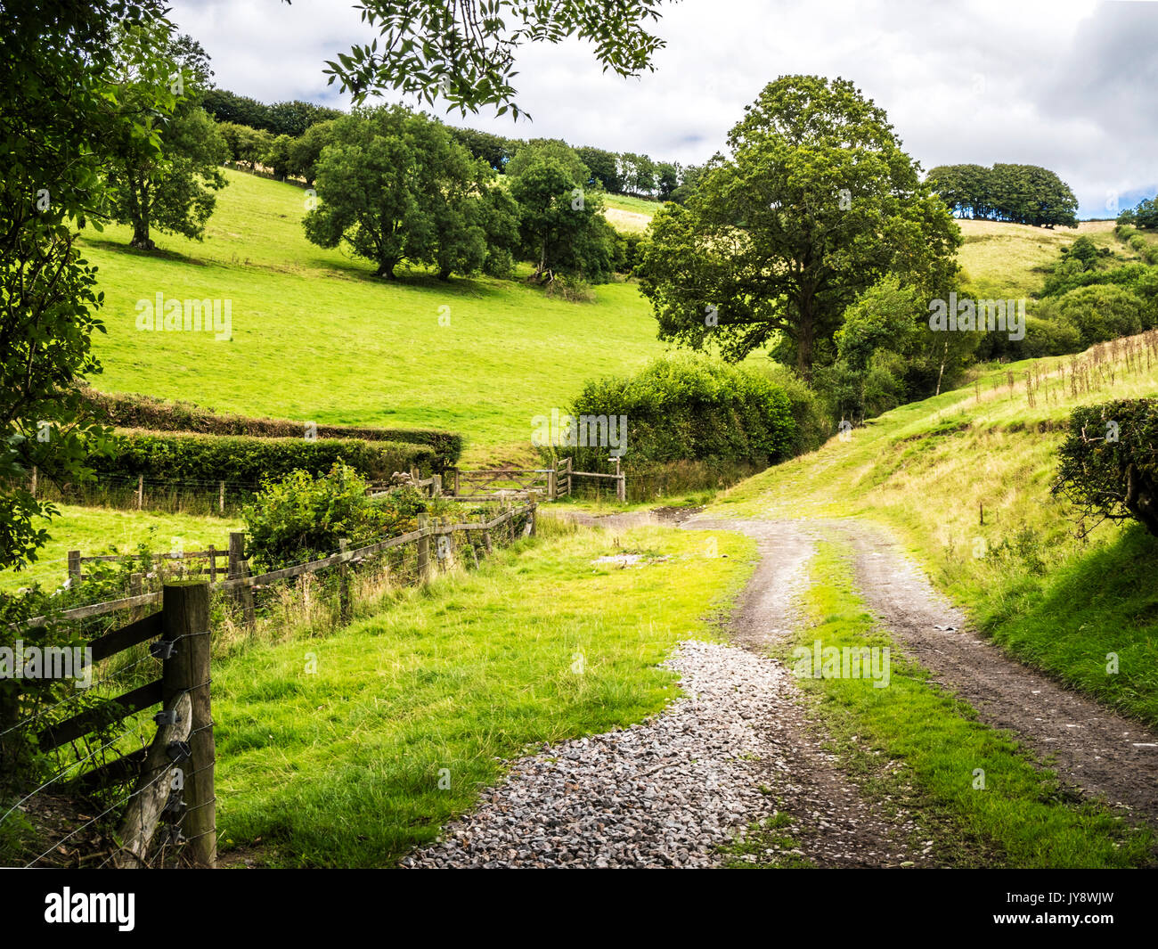 Una via attraverso il paesaggio estivo del Parco Nazionale di Exmoor. Foto Stock