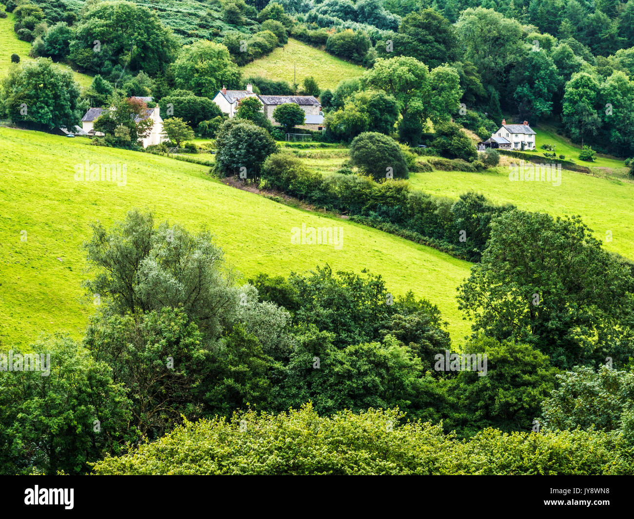 Il paesaggio del Parco Nazionale di Exmoor in estate. Foto Stock